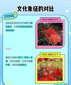 彼岸花怎么克制,常见问题解析,实用方法分享 彼岸花怎么克制,常见问题解析,实用方法分享
