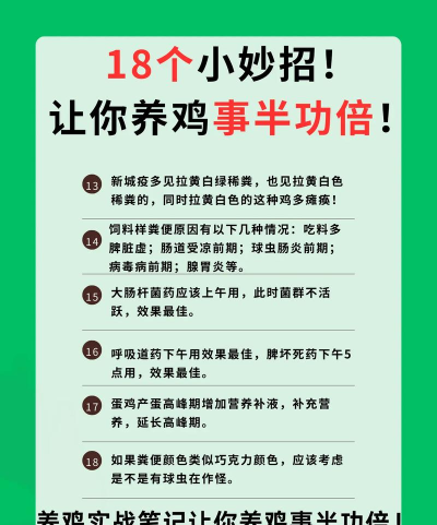 如何打法鸡,掌握关键技巧,轻松应对挑战 如何打法鸡,掌握关键技巧,轻松应对挑战