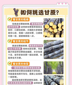 甘蔗如何种,选对品种,掌握关键步骤 甘蔗如何种,选对品种,掌握关键步骤