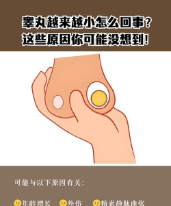 蛋小怎么办,了解原因,找到改善方法 蛋小怎么办,了解原因,找到改善方法