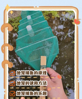 如何逮鱼,掌握实用技巧,轻松捕获美味 如何逮鱼,掌握实用技巧,轻松捕获美味