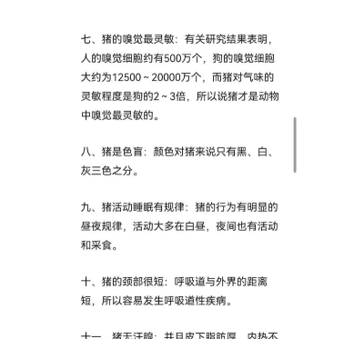 如何喂养小猪,掌握正确方法,确保健康成长 如何喂养小猪,掌握正确方法,确保健康成长