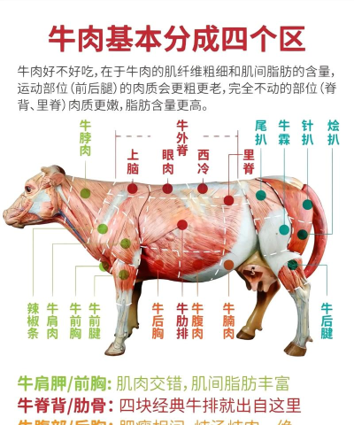 牛怎么杀的,屠宰流程详解,常见问题解答 牛怎么杀的,屠宰流程详解,常见问题解答