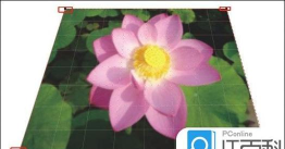 coreldraw怎么做出透视效果 coreldraw怎么做出透视效果