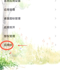 华为手机如何隐藏软件 华为手机如何隐藏软件
