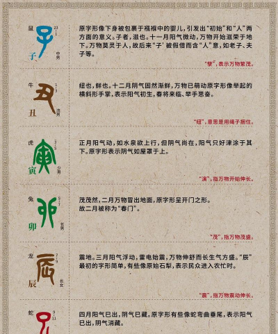 十二地支怎么读 十二地支怎么读