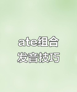 donate怎么读 donate怎么读