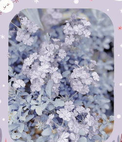 微信怎么改铃声 微信怎么改铃声