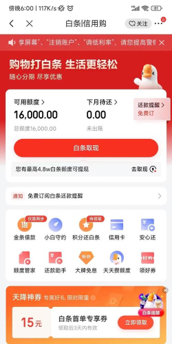 如何快速提升白条额度 如何快速提升白条额度