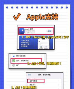 苹果怎么恢复彻底删除的照片 苹果怎么恢复彻底删除的照片