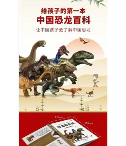 美颌龙怎么读 美颌龙怎么读