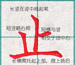 横竖怎么区分 横竖怎么区分