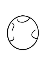 如何画圆形 如何画圆形