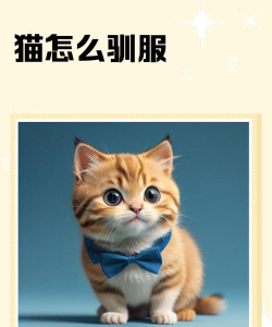 猫怎么驯服 猫怎么驯服