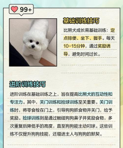 狗熊怎么打 狗熊怎么打