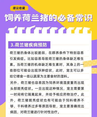 猪怎么养殖 猪怎么养殖