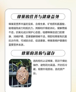 蜂巢怎么用 蜂巢怎么用