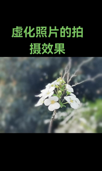 背景虚化怎么拍 背景虚化怎么拍