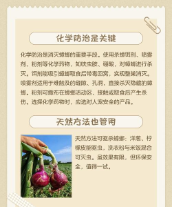 蟑螂怎么打 蟑螂怎么打