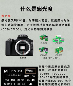 相机亮度怎么调 相机亮度怎么调