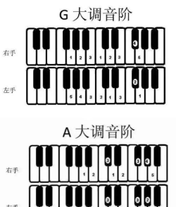 小钢琴怎么弹 小钢琴怎么弹