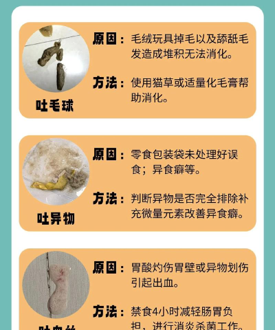 怎么快速吐 怎么快速吐