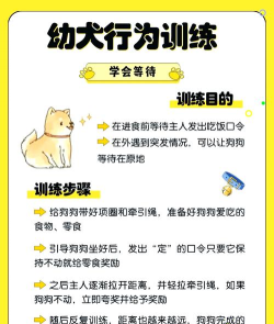 怎么驯服狗狗 怎么驯服狗狗