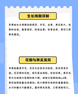 苹果树怎么种 苹果树怎么种