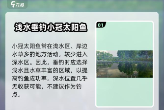 怎么钓太阳鱼 怎么钓太阳鱼