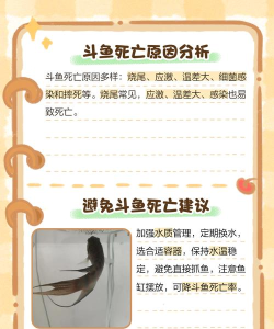 斗鱼怎么了 斗鱼怎么了