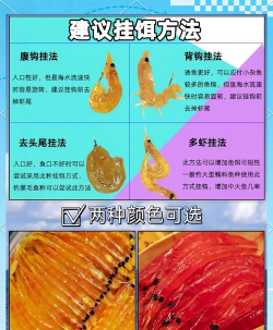 虾饵怎么做 虾饵怎么做