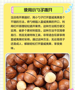 坚果怎么开 坚果怎么开