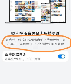 怎么备份图片 怎么备份图片