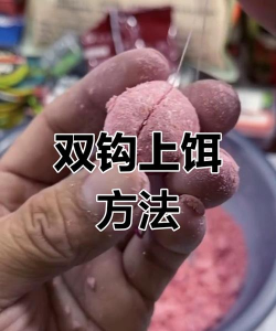 鱼饵怎么弄 鱼饵怎么弄