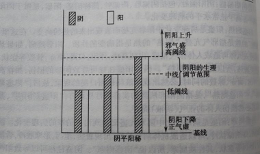 阴阳怎么区分 阴阳怎么区分