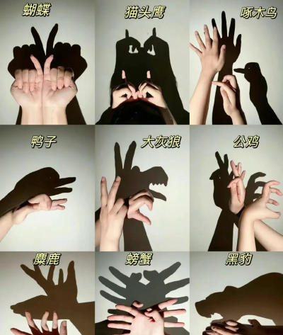 影子游戏怎么玩 影子游戏怎么玩