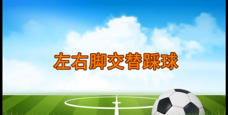 怎么踢任意球 怎么踢任意球