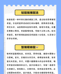 怎么捕捉老鼠 怎么捕捉老鼠