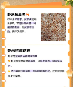 虾米怎么养 虾米怎么养