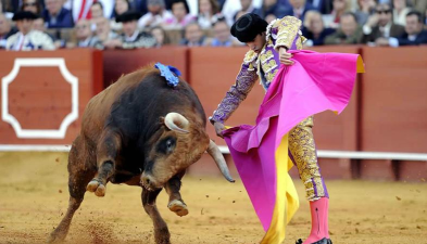 斗牛怎么看 斗牛怎么看