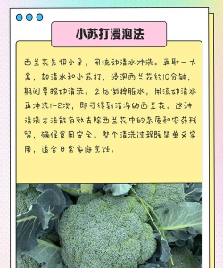 西兰花怎么弄 西兰花怎么弄