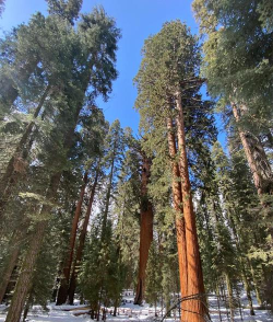 加基森怎么去,路线选择指南,交通方式详解 加基森怎么去,路线选择指南,交通方式详解