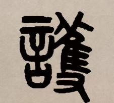 护的繁体字怎么写,正确书写方法,常见使用场景 护的繁体字怎么写,正确书写方法,常见使用场景