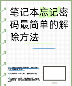 如何查看密码,找回遗忘密码,保障账户安全 如何查看密码,找回遗忘密码,保障账户安全