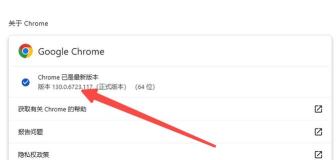 谷歌浏览器怎么更新,保持最新版本,提升浏览体验 谷歌浏览器怎么更新,保持最新版本,提升浏览体验