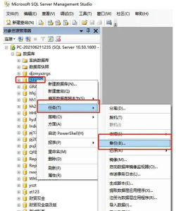 如何备份系统,保障数据安全,掌握备份策略 如何备份系统,保障数据安全,掌握备份策略