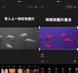 如何翻转视频,轻松调整视频方向,快速解决画面颠倒问题 如何翻转视频,轻松调整视频方向,快速解决画面颠倒问题