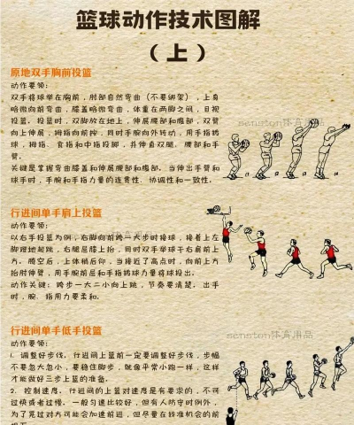 如何抢篮板,掌握核心技巧,提升篮球实战能力 如何抢篮板,掌握核心技巧,提升篮球实战能力