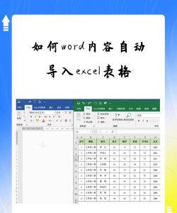 电脑网页录入的东西怎么导出excel表格 电脑网页录入的东西怎么导出excel表格