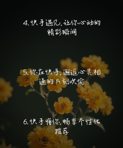 快手怎么样,内容真实接地气,记录分享美好生活 快手怎么样,内容真实接地气,记录分享美好生活
